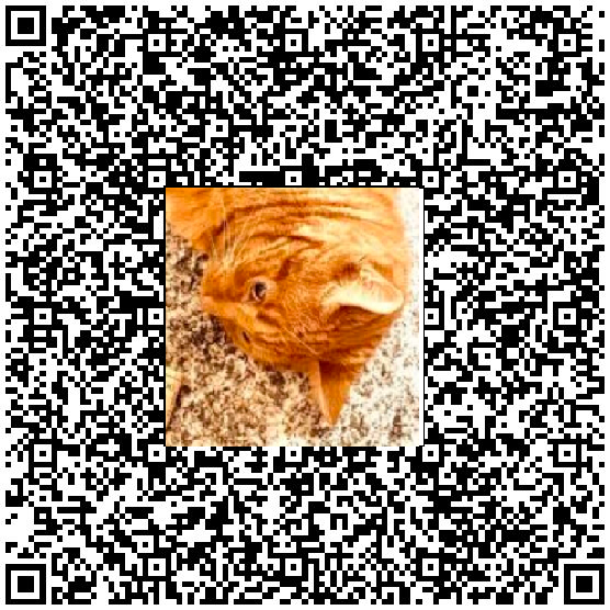 QR CODE MIAU